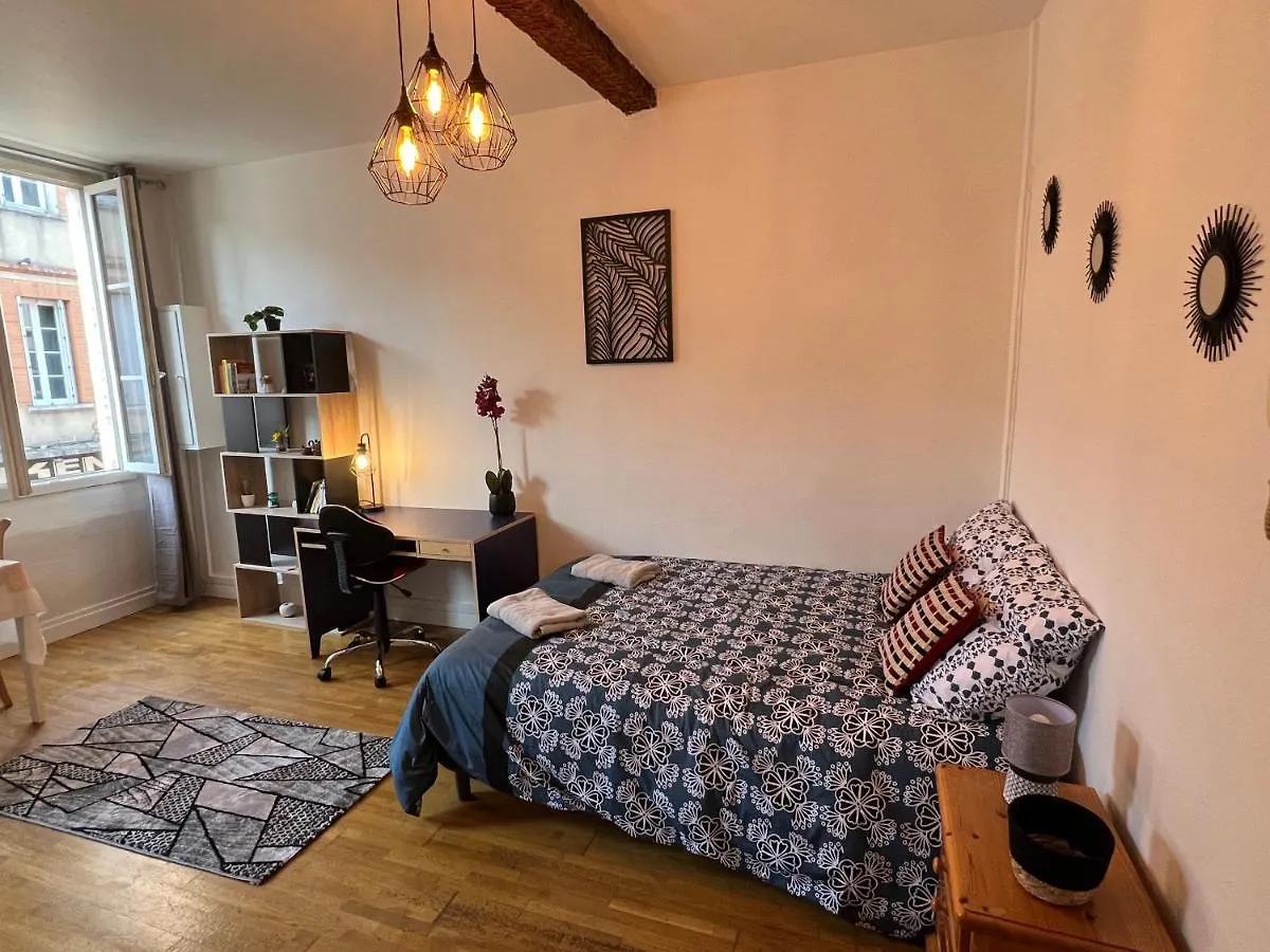 Studio Hyper Centre , Colombette Toulouse France